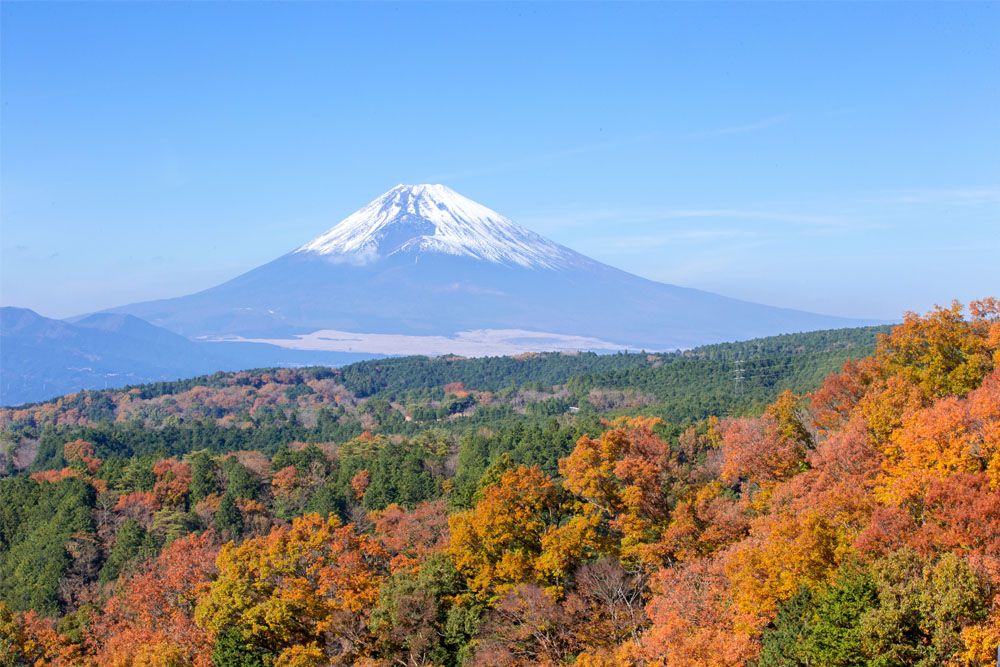 絶景！箱根紅葉スポット3選】混雑を回避し、紅葉を堪能するコツ