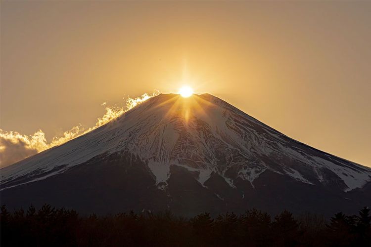 2025-2026年】山中湖のイルミネーション「ファンタジウム」の見どころは？