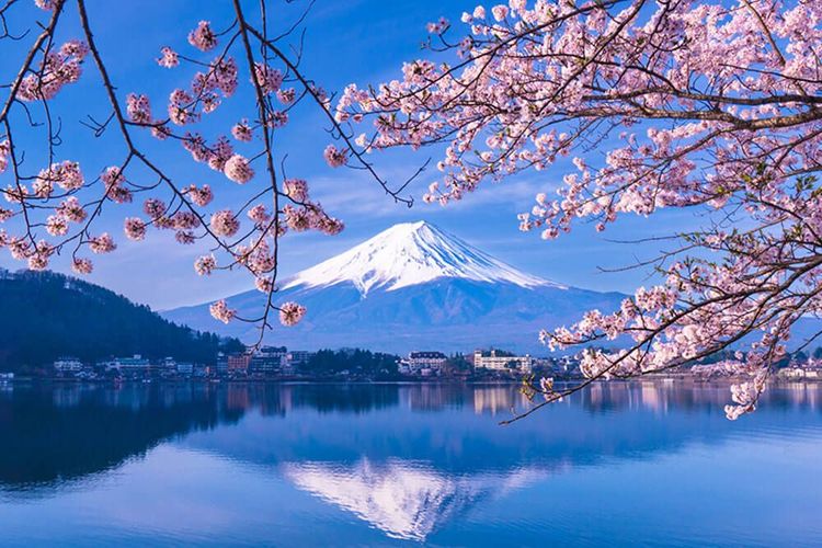絶景！河口湖越しの桜と富士山フォトスポット4選&周辺の桜の名所3選