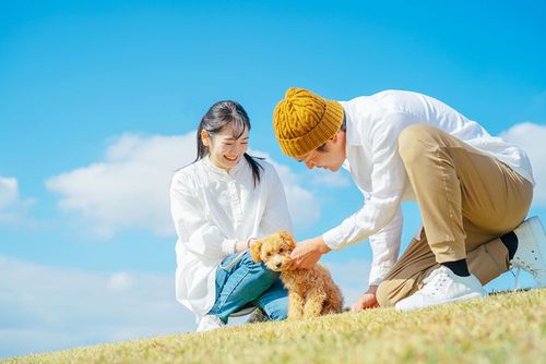 日光のペットOKなランチのお店5選！愛犬と想い出に残る日光旅行を