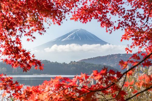 河口湖越しの紅葉と富士山絶景スポット3選!2025年の見頃は?