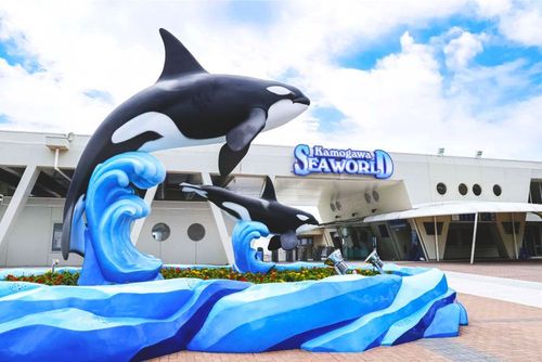 家族で1日大満喫！鴨川シーワールドで出会う、海の仲間との感動体験